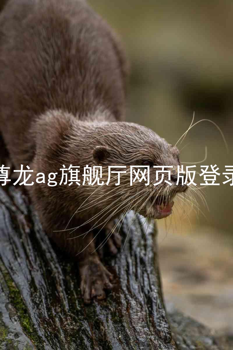 尊龙ag旗舰厅网页版登录